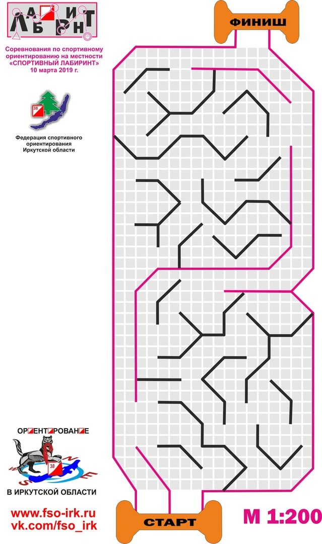 Спортивное ориентирование карта лабиринта