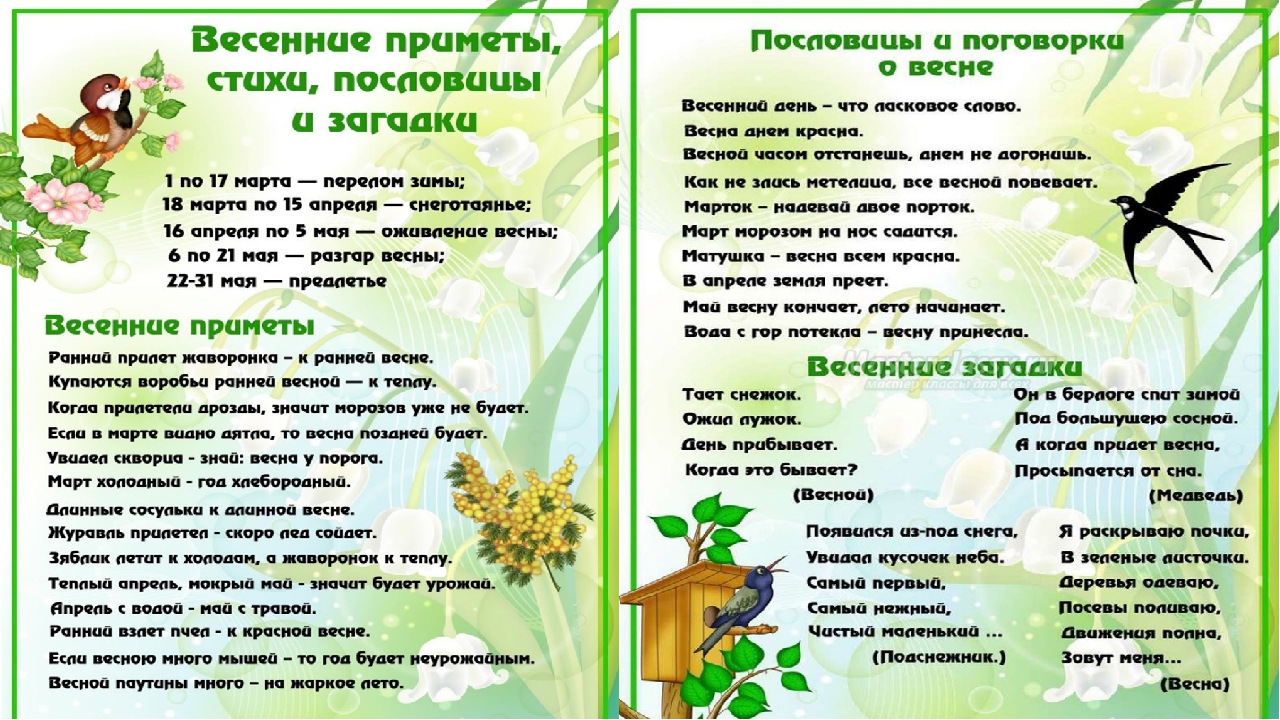 Презентация весна средняя группа