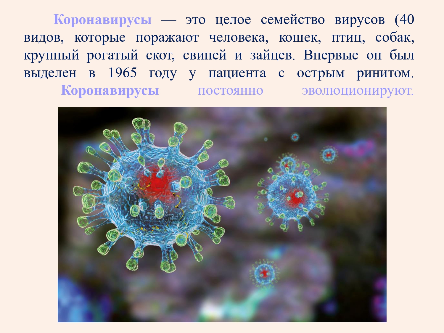 Классификация вирусов коронавирус