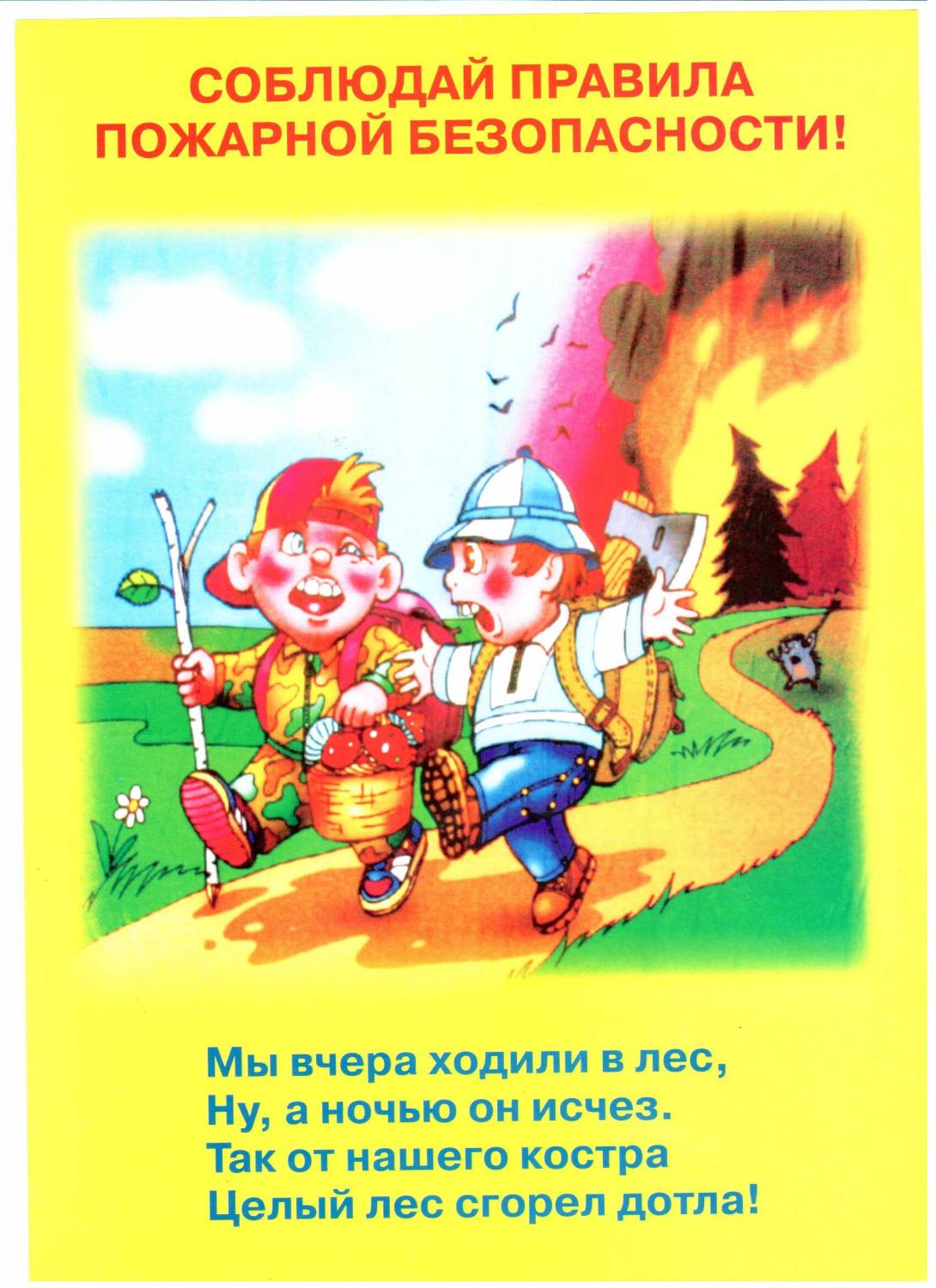 Пожарная безопасность в лесу для детей. Правила пожарной безопасности. Пожарная безопастность. Пожарная безопасность для дошкольников. Пожарная безопасность детя.