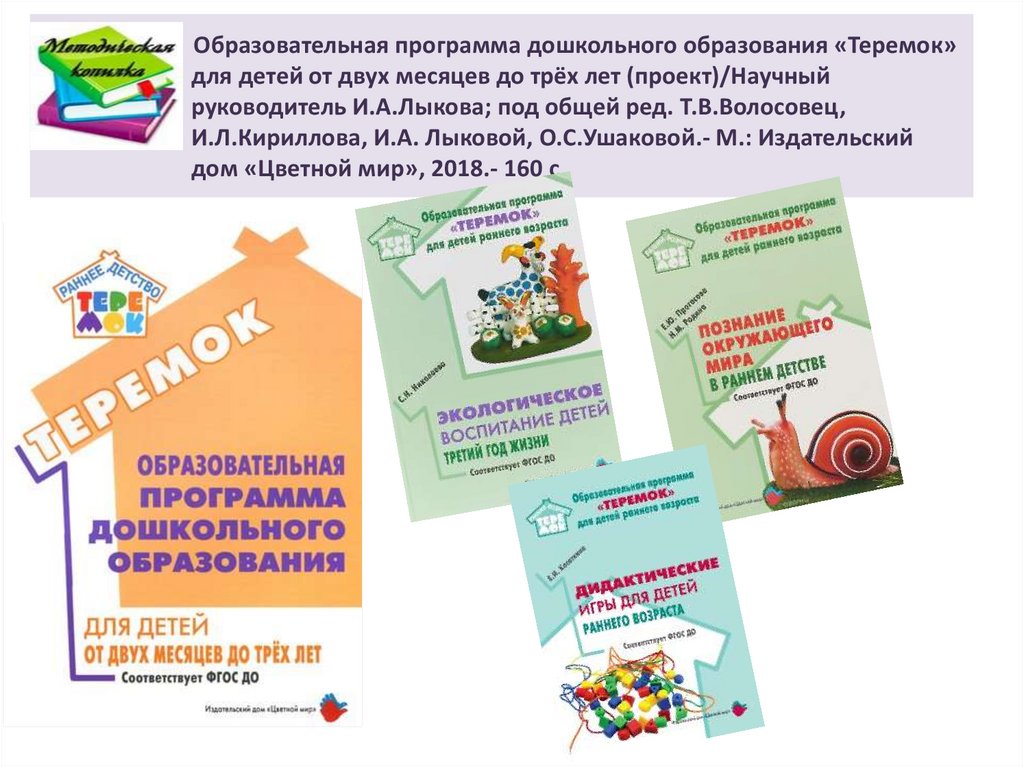 Программы дошкольного обучения. Образовательная программа Теремок. Программы предшкольного образования. Теремок программа дошкольного образования. Программа Теремок для детского сада 2-3 года.