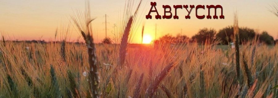 TjDjiPqAE3pGiCAuG9EpkG4DAQSq6x1TRGqxUV XvGXhhe LzgXbQul7W8Etvuq VXjcZfWoqSbNifzgcryUUi0