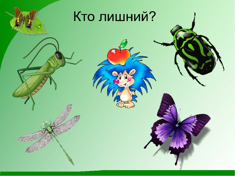 Тема насекомые в доу. Насекомые для ДОШКОЛЬНИКЛ. Тема насекомые для дошкольников. Насекомые рисунок. Изображение насекомых для детей.