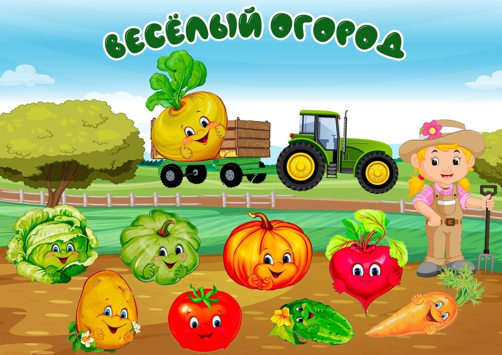 картинки с изображением огорода для детского сада